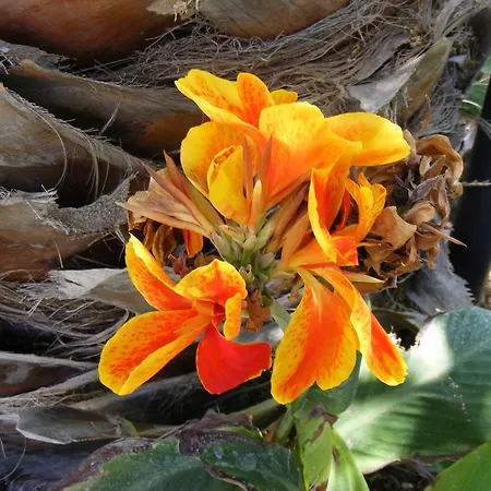 アパート Orizontes Boutique アダマス