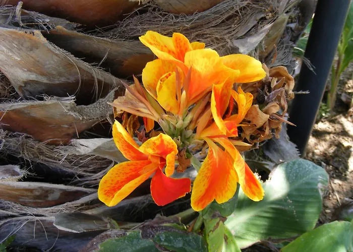 דירה Orizontes Boutique אדאמאס